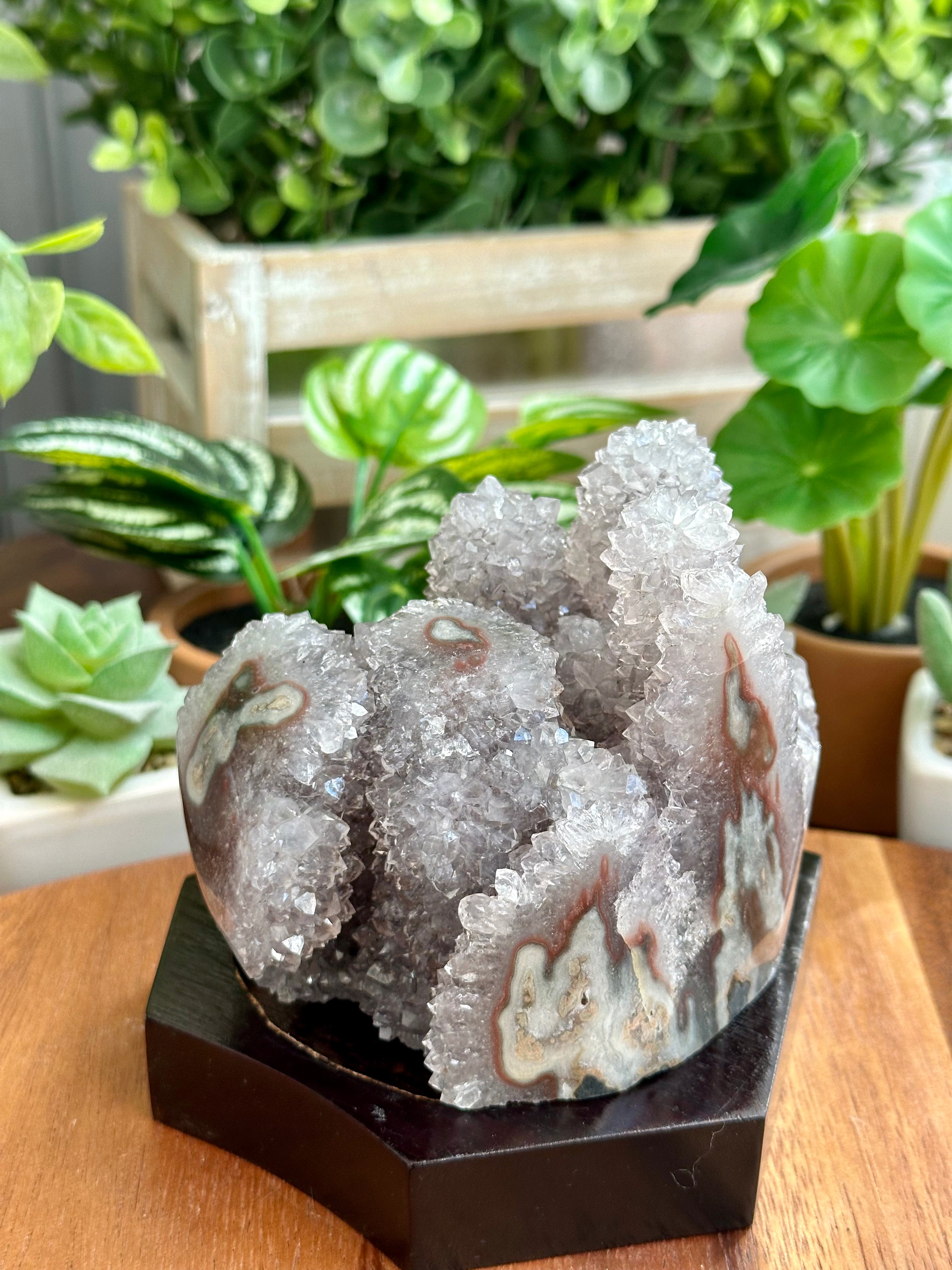 Lavender Cactus Amethyst. Spirit Quartz Cluster on wood display from Uruguay.