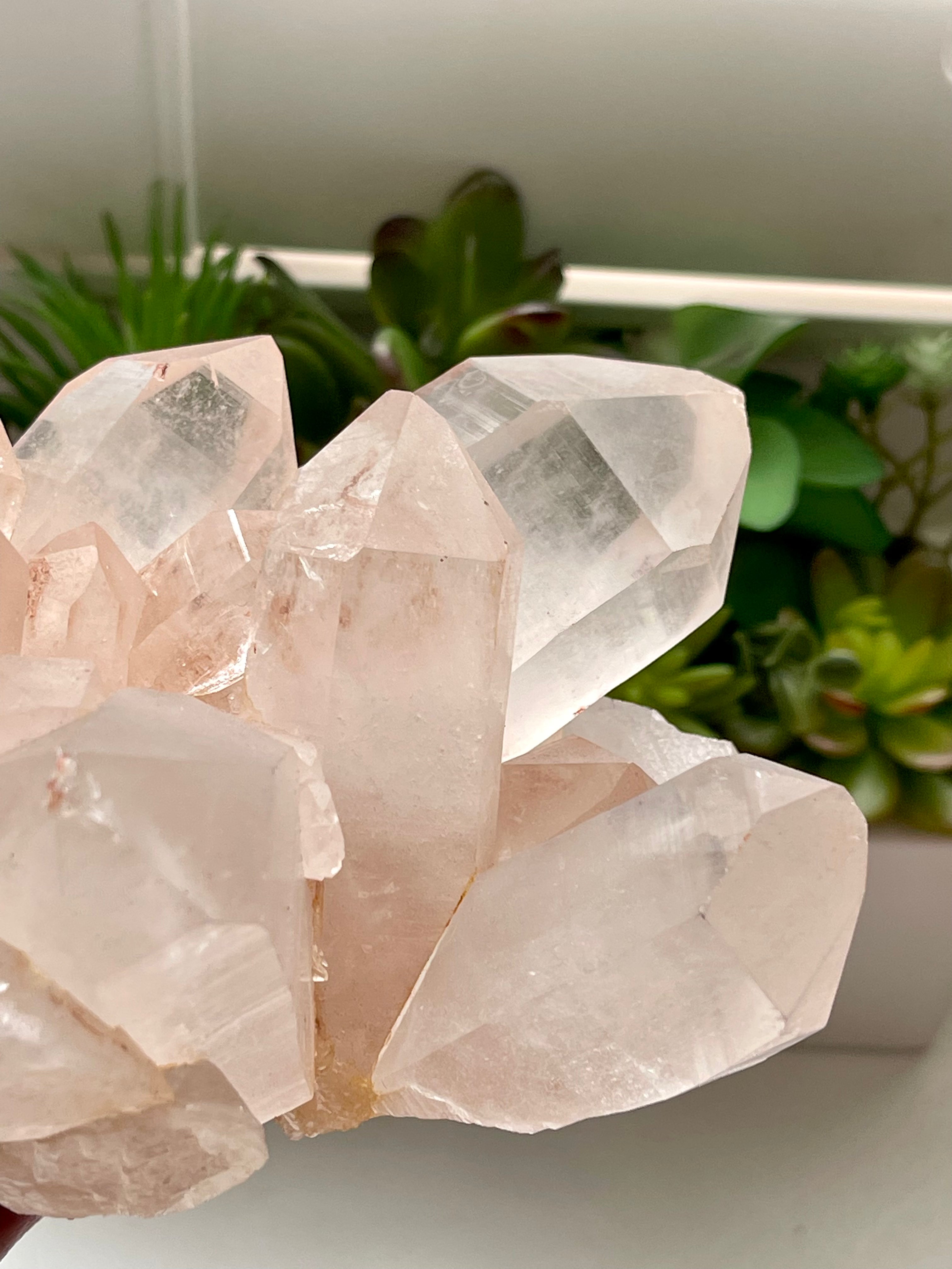 Pink Himalayan Quartz Cluster. High grade Samadhi cluster from India. Over 5lb.