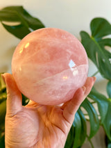 High Quality Extra Large Rose Quartz Sphere from Brazil. 3.5 lbs.