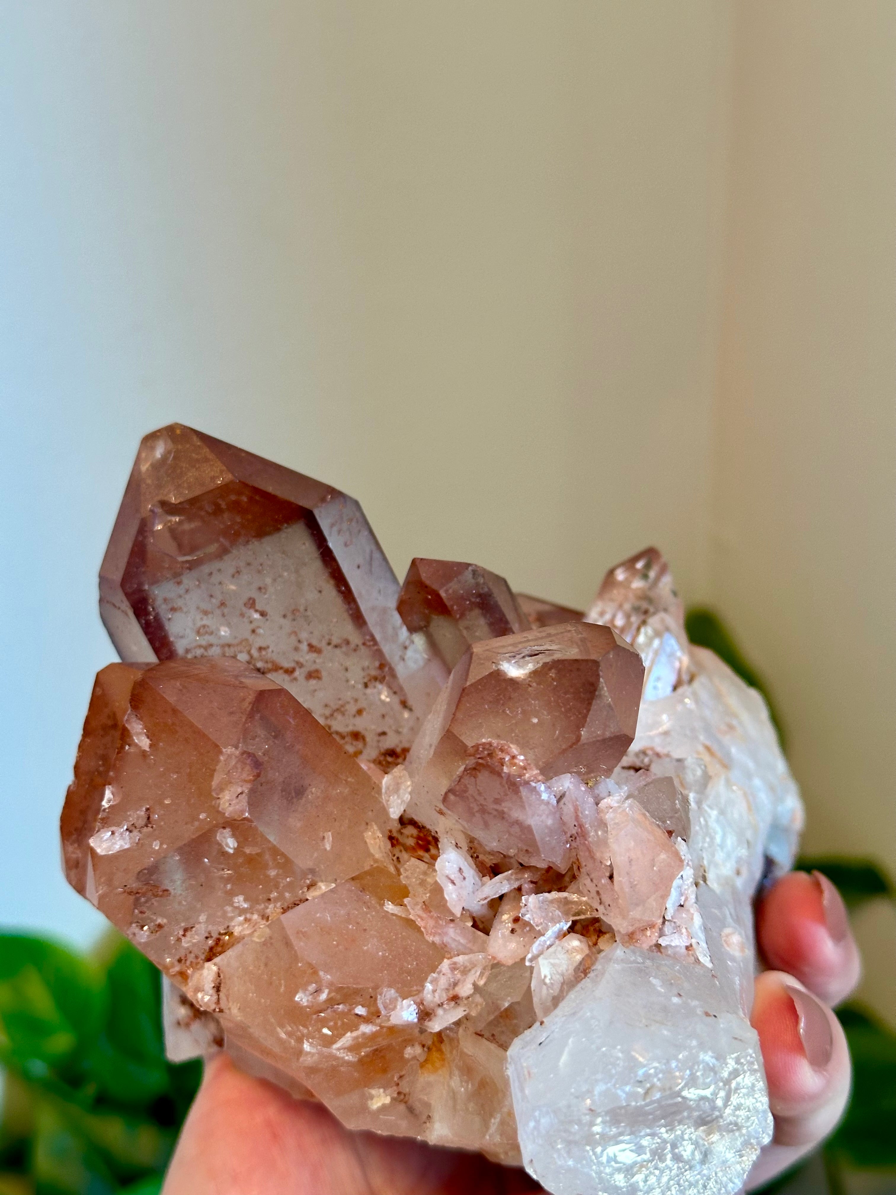 Rare Red and Pink Himalayan Quartz Cluster. 2lbs. 13oz.