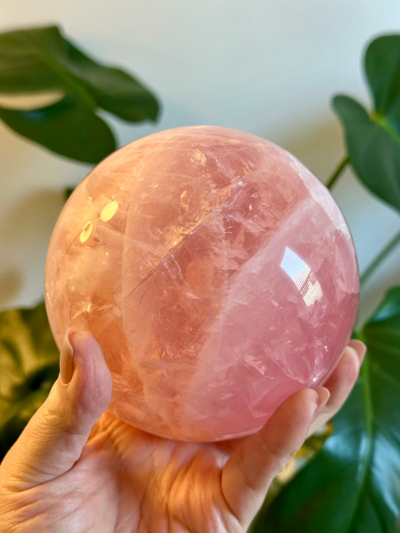 Gemmy Extra XL Rose Quartz Sphere from Brazil. Over 4lbs.