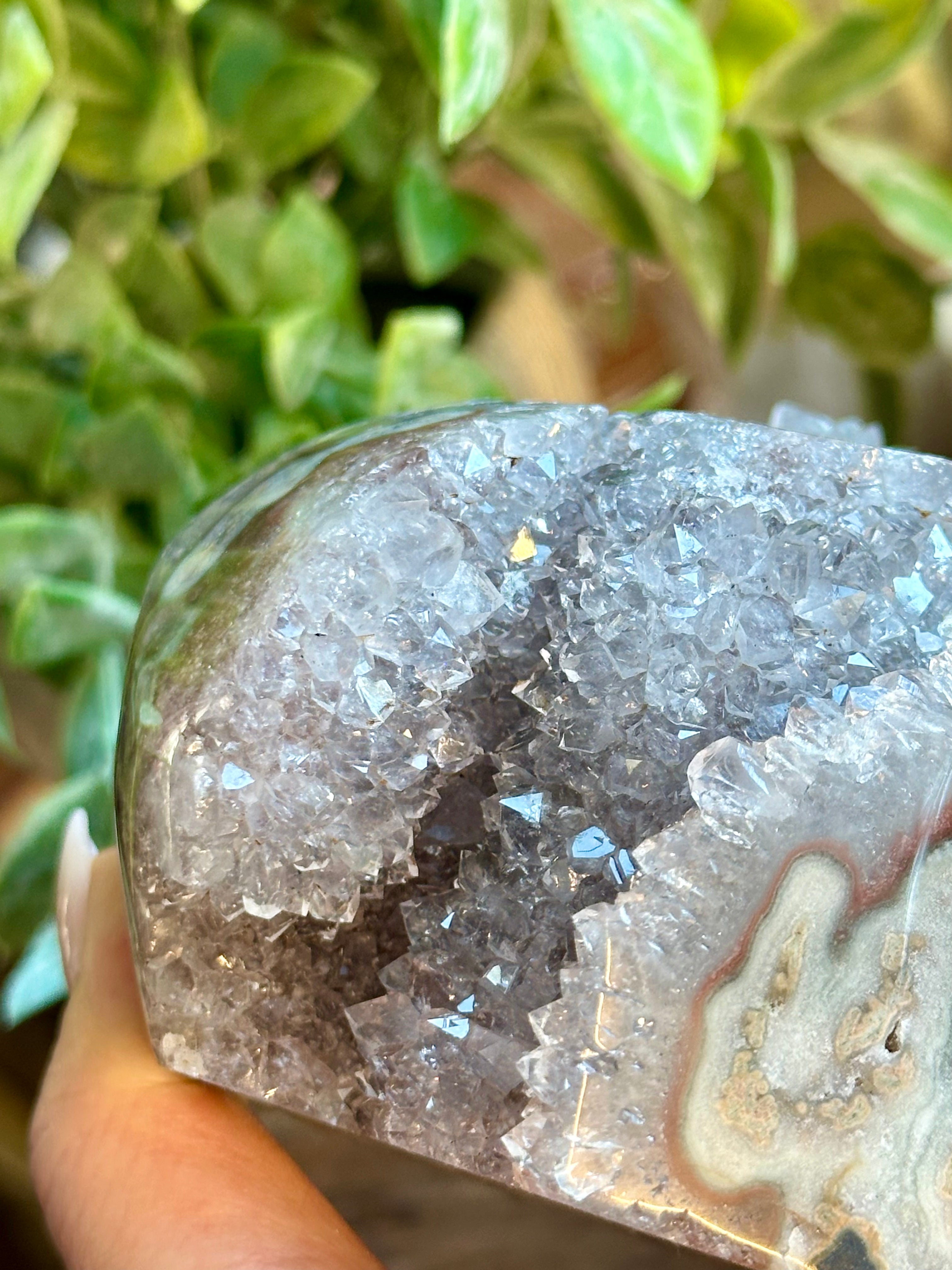 Lavender Cactus Amethyst. Spirit Quartz Cluster on wood display from Uruguay.