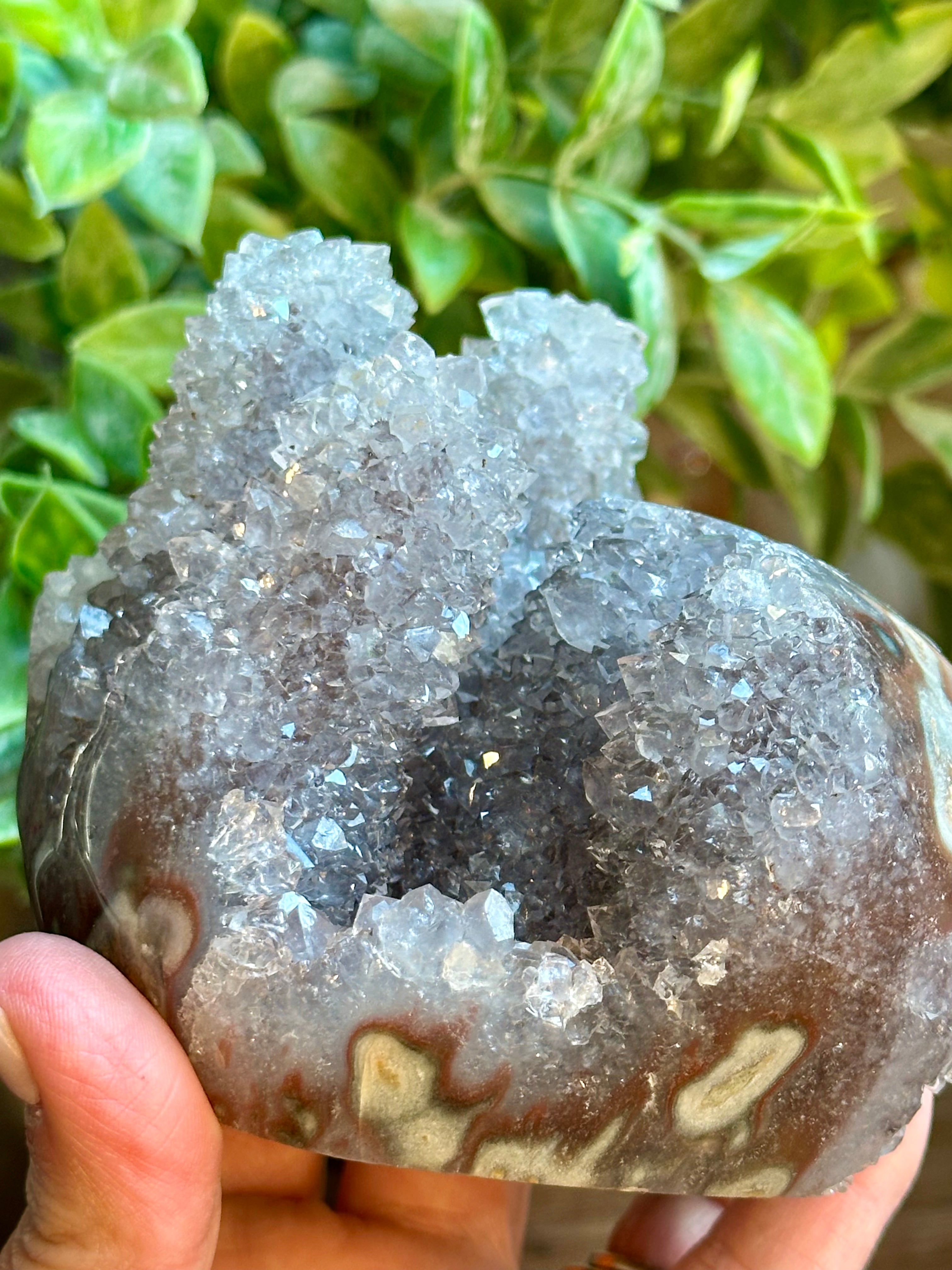 Lavender Cactus Amethyst. Spirit Quartz Cluster on wood display from Uruguay.