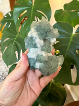 Gorgeous Blue and Green Fluorite cluster in matrix.