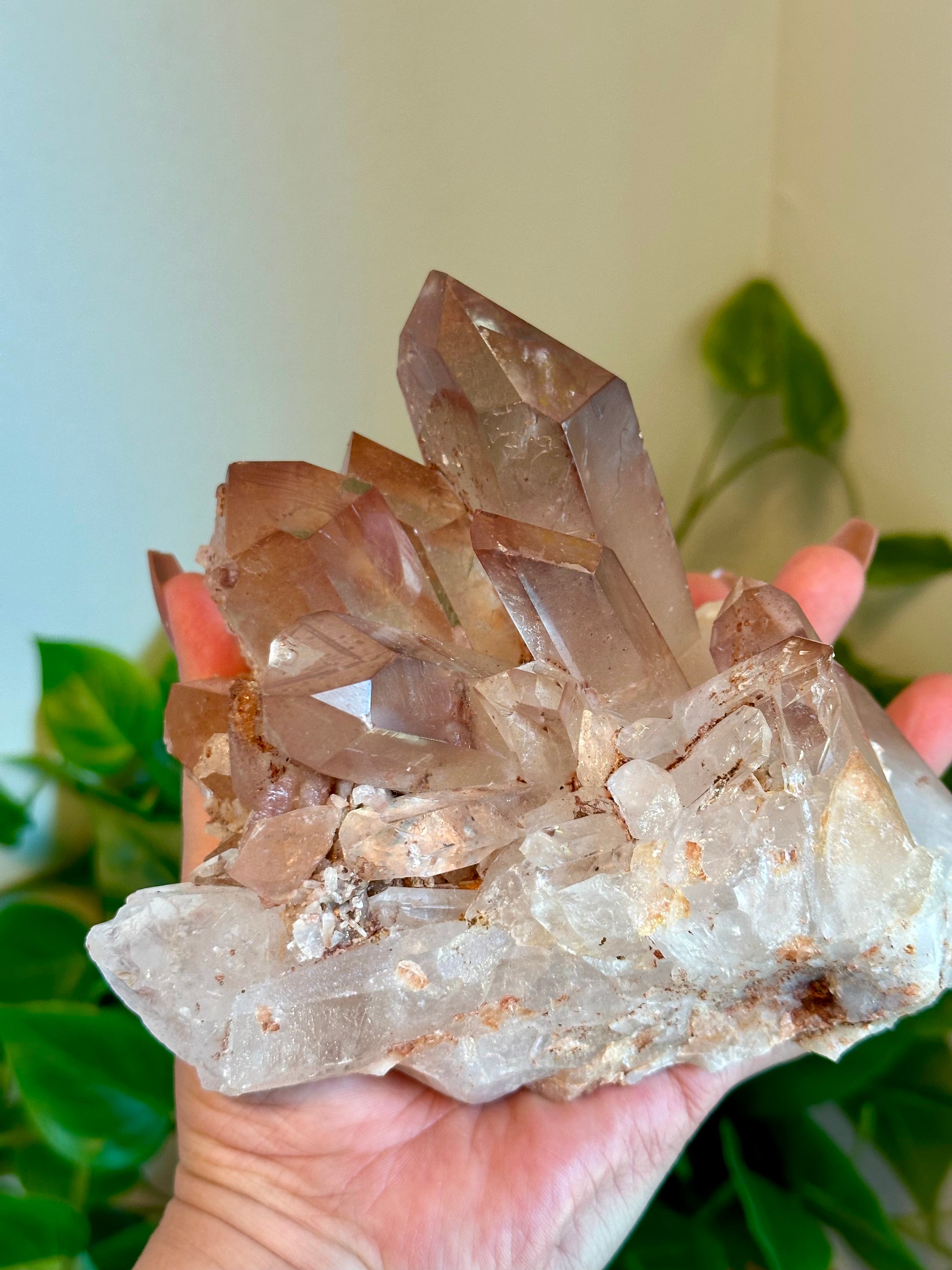 Rare Red and Pink Himalayan Quartz Cluster. 2lbs. 13oz.