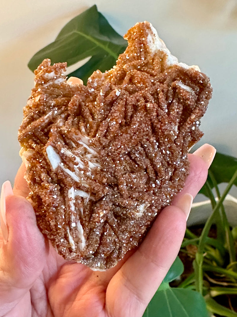 Sparkling Vanadinite Cluster. Druzy Vanadinite cluster from Morocco.