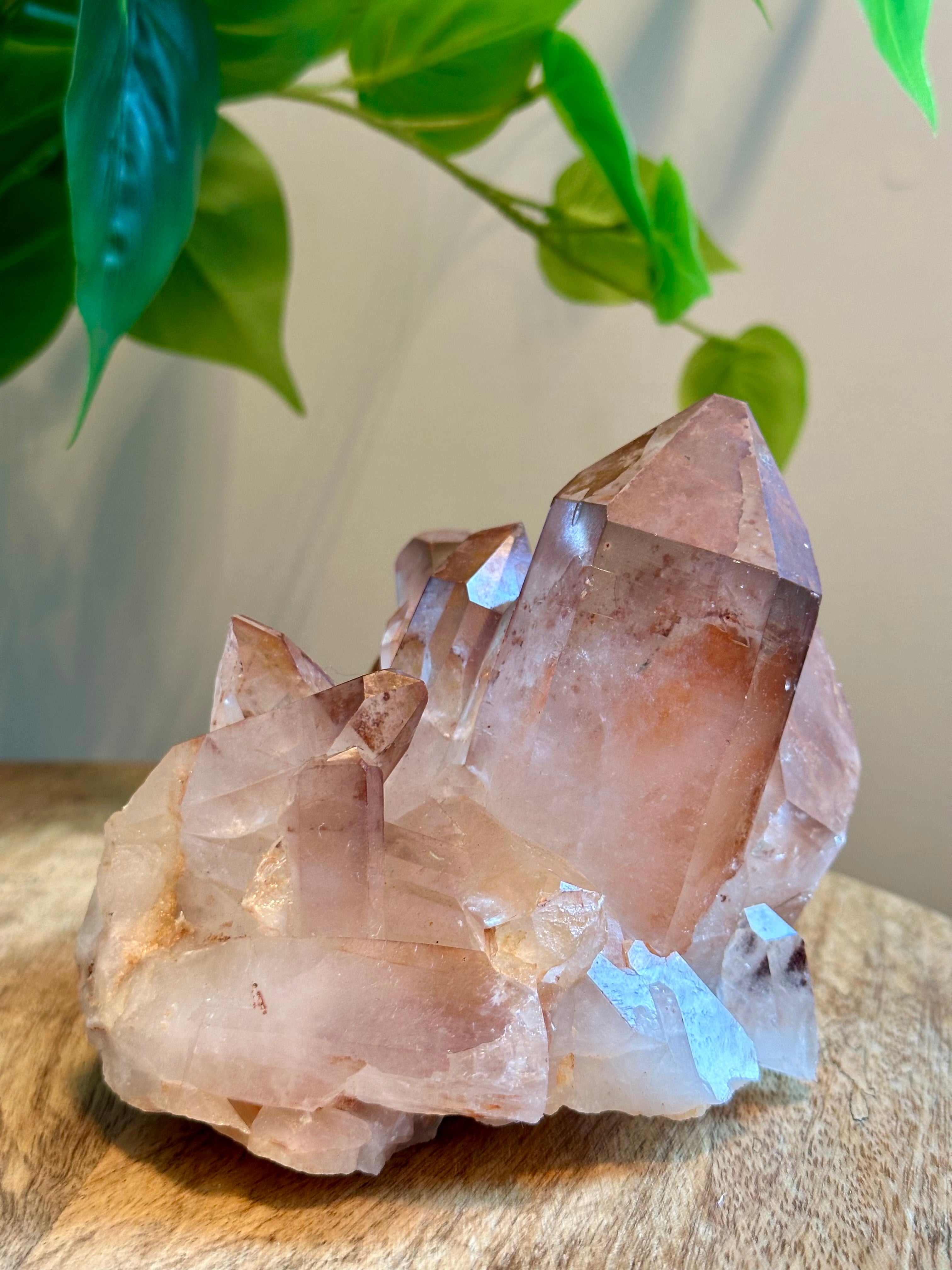 Rare Red and Pink Himalayan Quartz Cluster. 2lbs. 13oz.