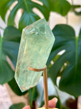 Fluorite Double Terminated Point with Custom stand. 256 gr.