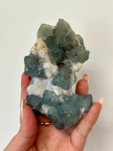 Gorgeous Blue and Green Fluorite cluster in matrix.