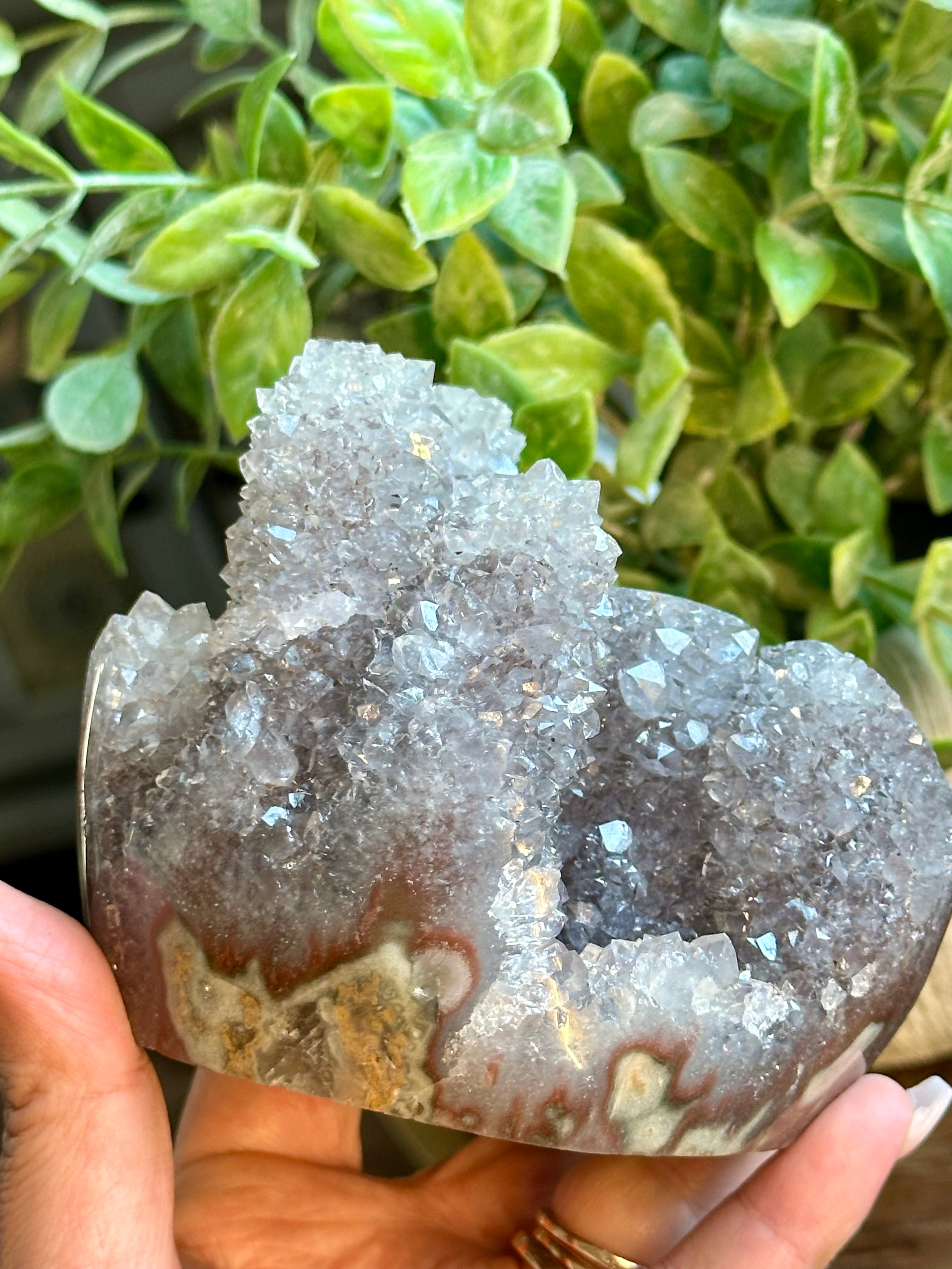 Lavender Cactus Amethyst. Spirit Quartz Cluster on wood display from Uruguay.