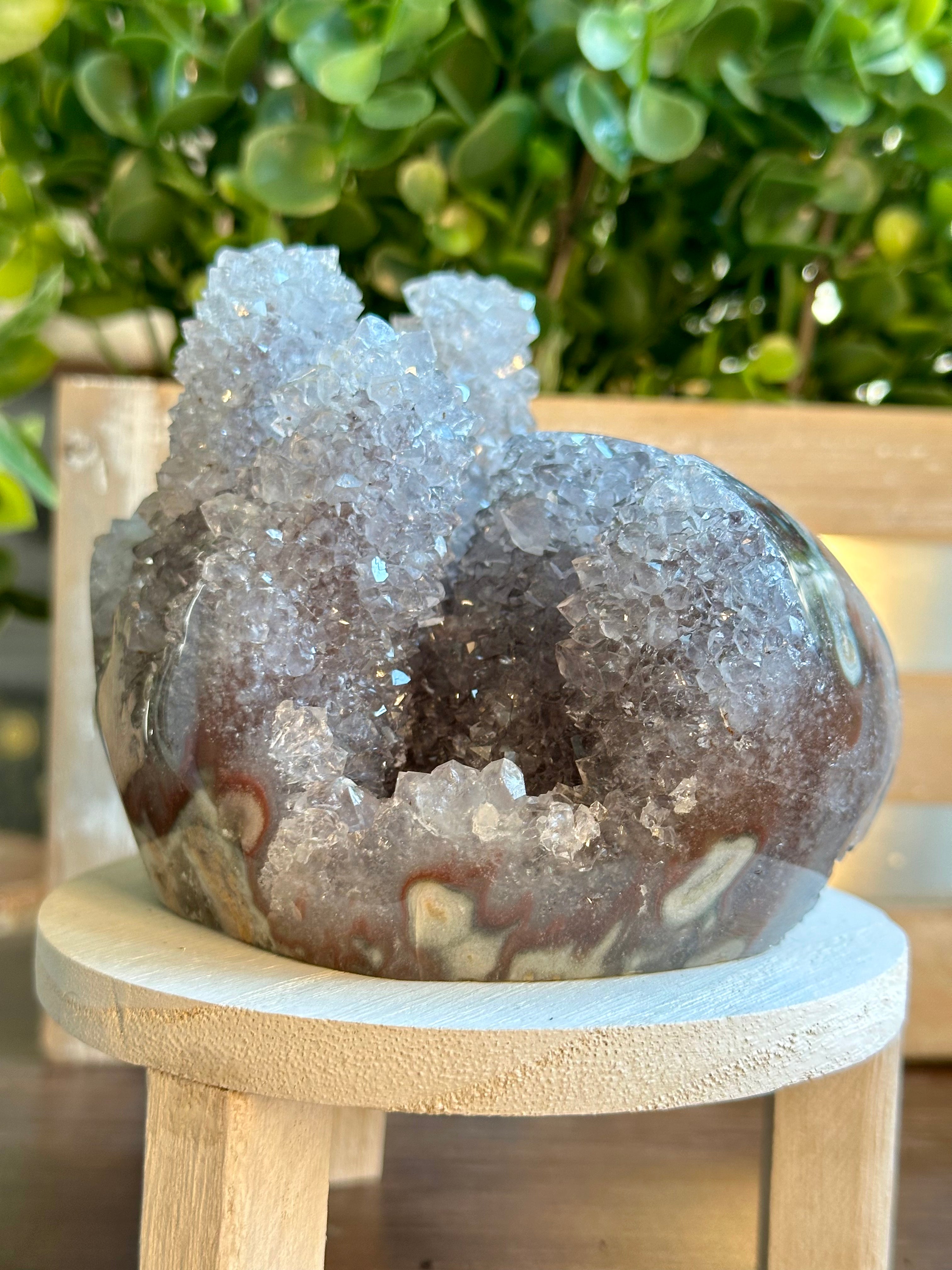 Lavender Cactus Amethyst. Spirit Quartz Cluster on wood display from Uruguay.