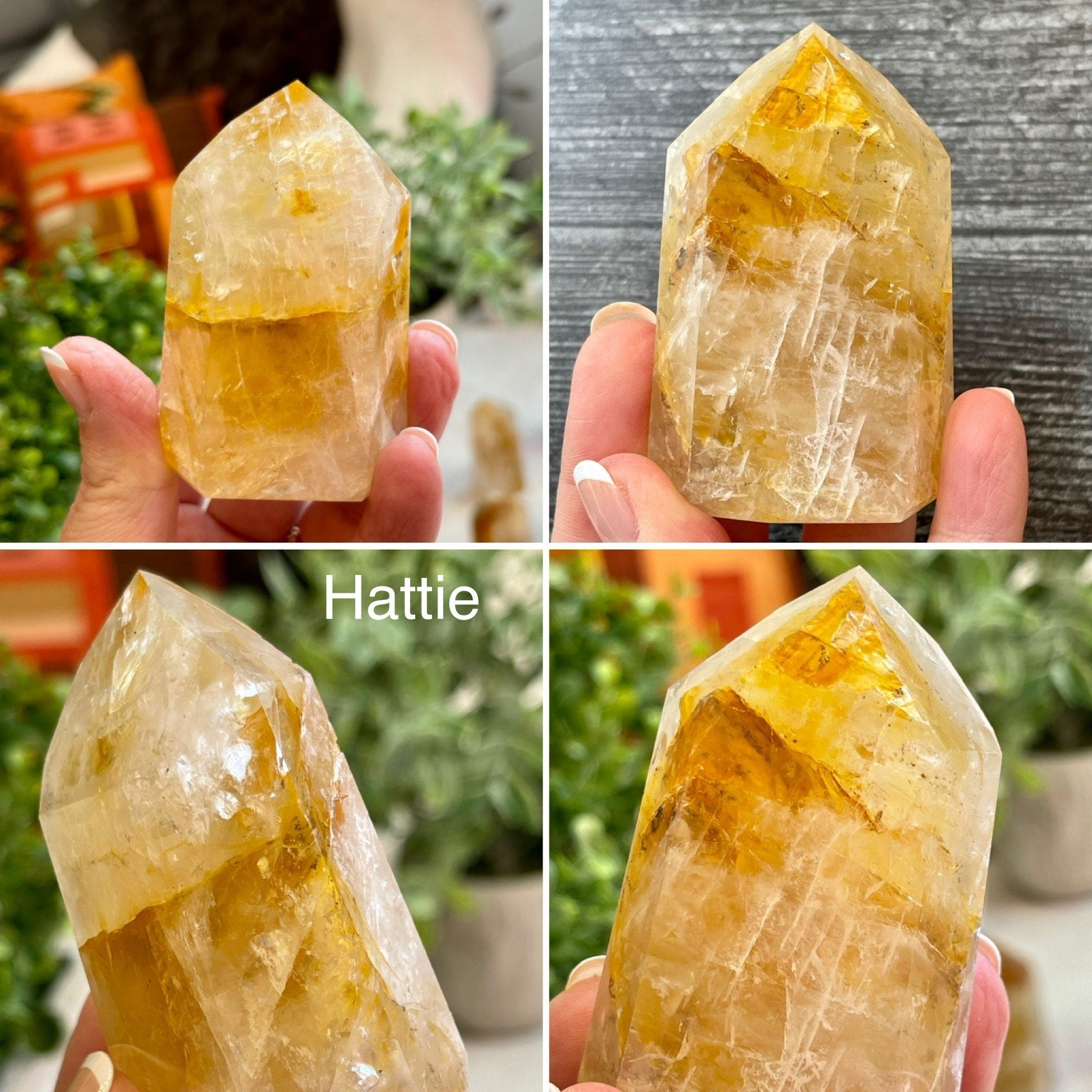 Golden Healer Towers. Hematoid Quartz Generator Points from Brazil