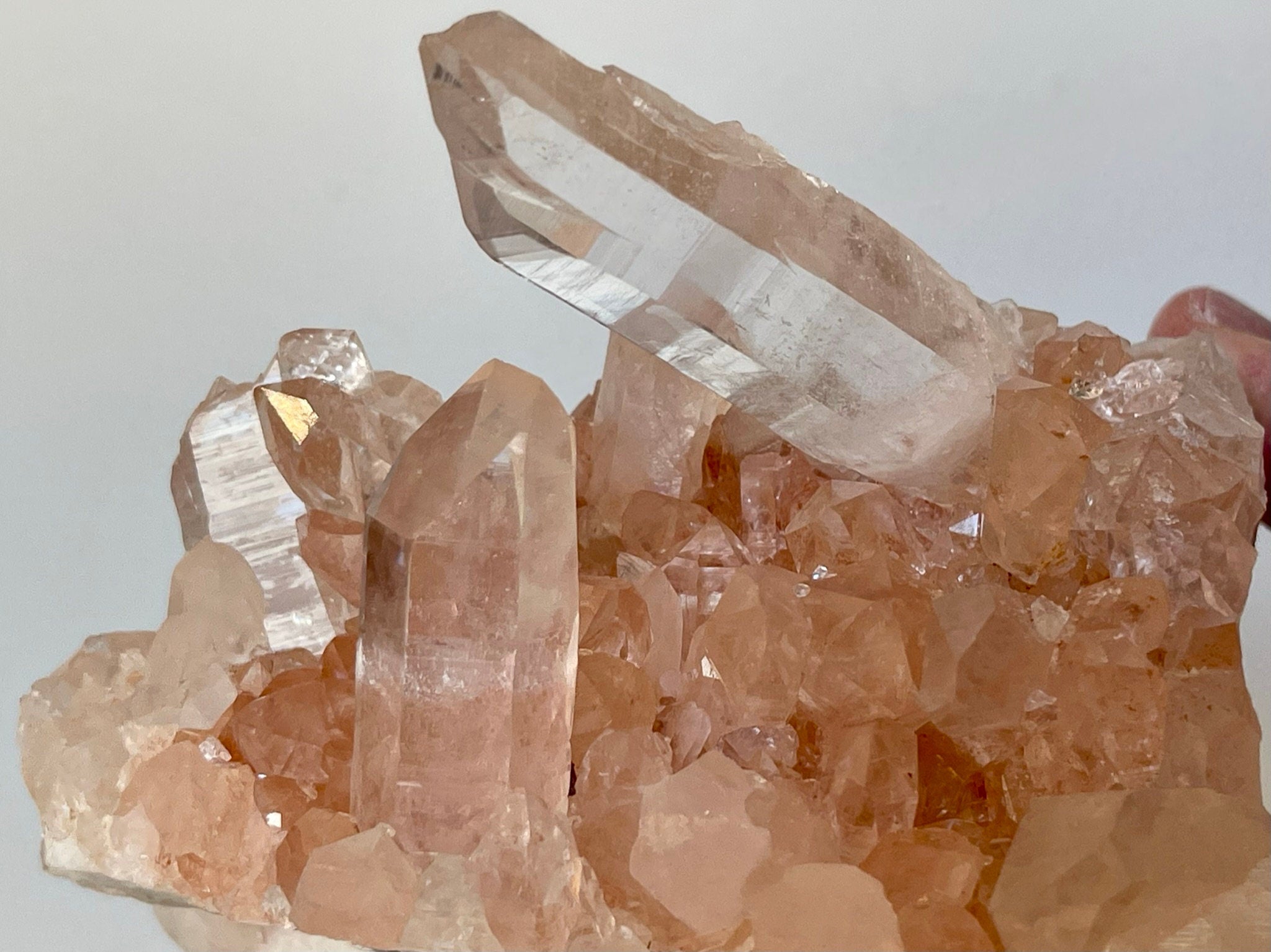 High Grade Pink Samadhi Himalayan Quartz Cluster from India