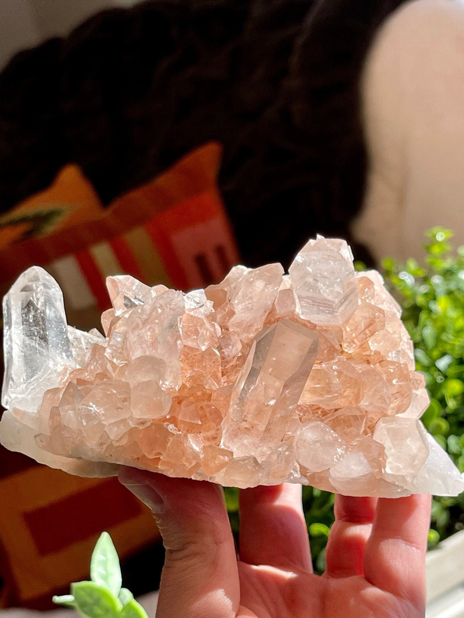 High Grade Pink Samadhi Himalayan Quartz Cluster from India