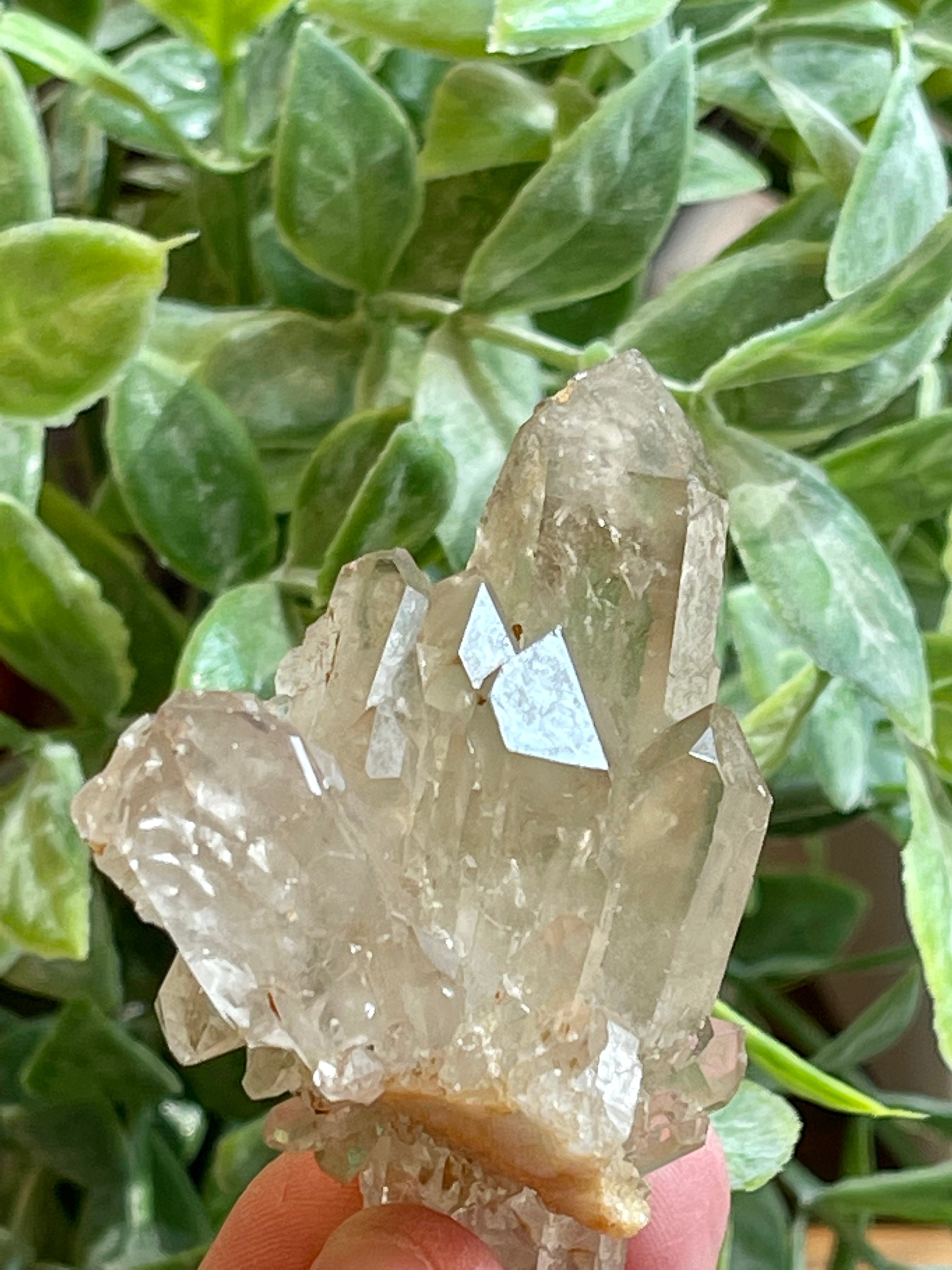 Darling Citrine cluster from Brazil. Genuine Citrine 53gr. Kundalini Citrine